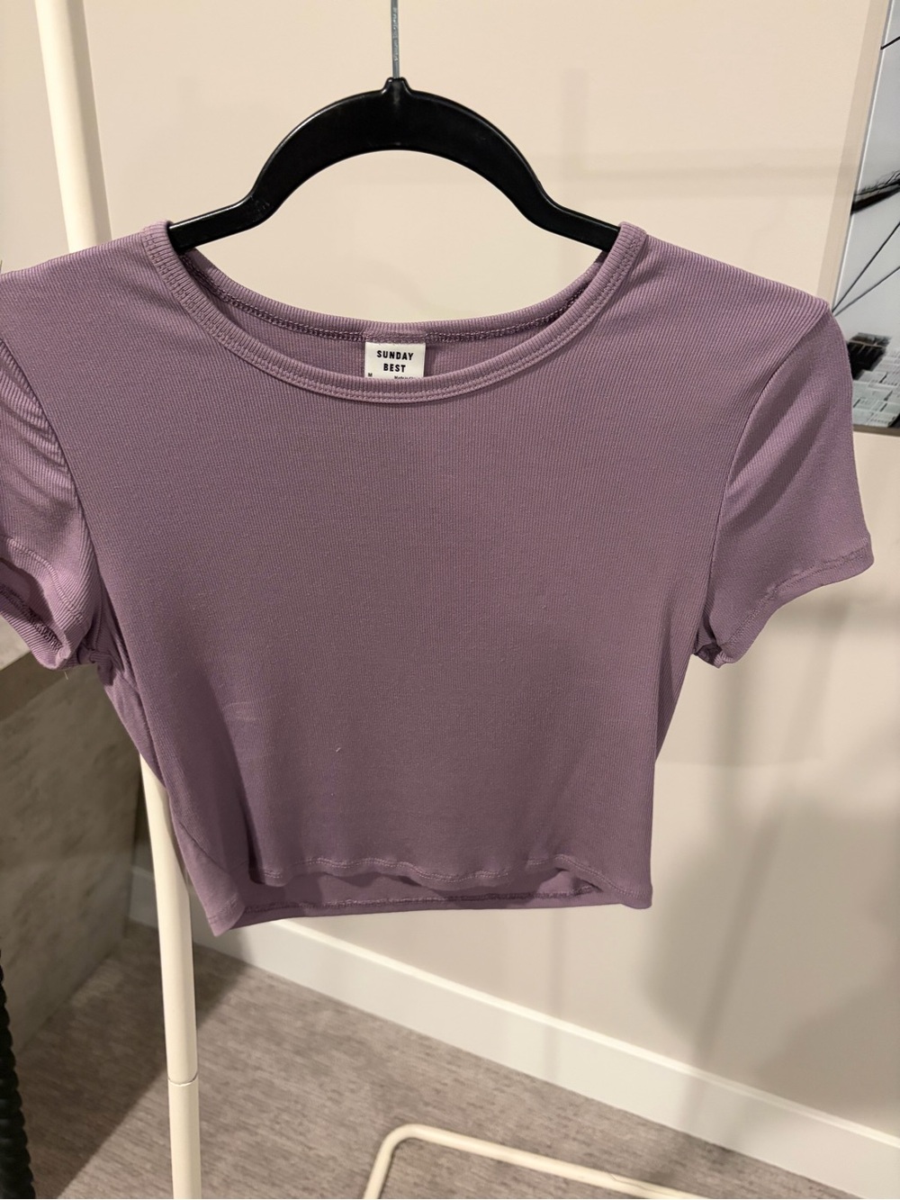 Sunday Best Mauve Ribbed Crop Top